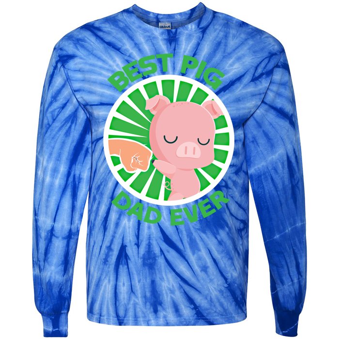 Best Pig Dad Ever Gift Tie-Dye Long Sleeve Shirt