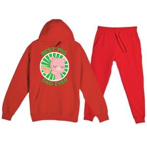 Best Pig Dad Ever Gift Premium Hooded Sweatsuit Set