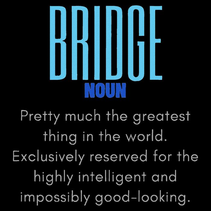 Bridge Player Definition Bridge 16 in Basic Backpack
