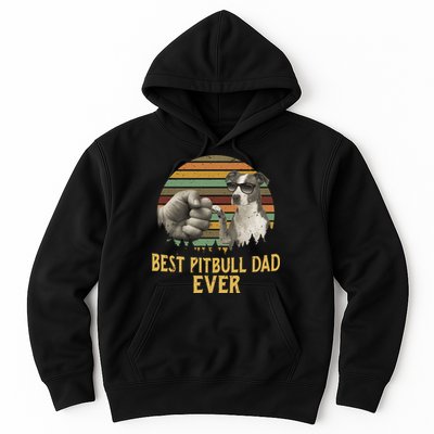 Best Pitbull Dad Ever Vintage Sunset Retro Hoodie