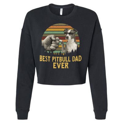 Best Pitbull Dad Ever Vintage Sunset Retro Cropped Pullover Crew