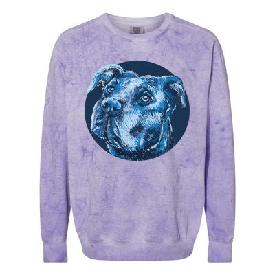 Blue Pitbull Dog Animal Portrait Cute Colorblast Crewneck Sweatshirt