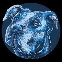 Blue Pitbull Dog Animal Portrait Cute 16 in Basic Backpack