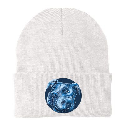 Blue Pitbull Dog Animal Portrait Cute Beanie