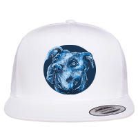 Blue Pitbull Dog Animal Portrait Cute Flatbill Hat