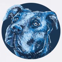 Blue Pitbull Dog Animal Portrait Cute Flatbill Hat