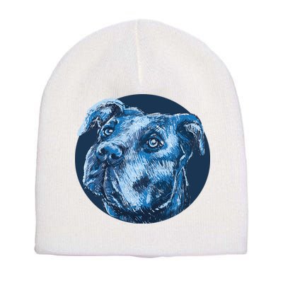 Blue Pitbull Dog Animal Portrait Cute Short Acrylic Beanie