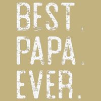 Best Papa Ever Father’s Day Gift For Papa Hoodie
