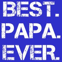 Best Papa Ever FatherS Day Gift Kids Hoodie