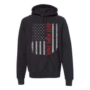 Best Pops Ever US American Flag Gifts For Father's Day Premium Hoodie