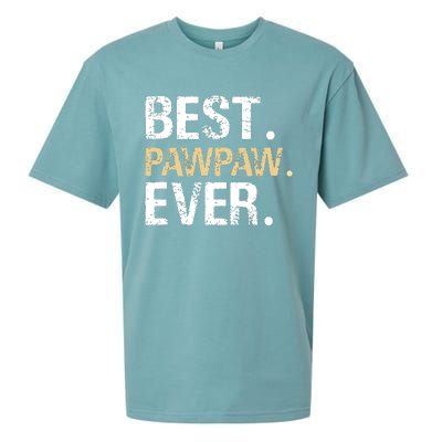 Best PawPaw Ever Graphic Great Fathers Day Grandparent Gifts Sueded Cloud Jersey T-Shirt