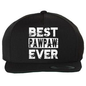 Best Pawpaw Ever Gift For Grandpa Father's Day Wool Snapback Cap