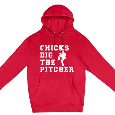 Baseball Pitcher Funny Premium Pullover Hoodie