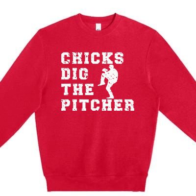 Baseball Pitcher Funny Premium Crewneck Sweatshirt