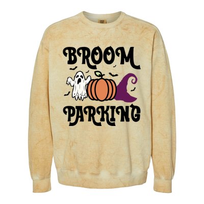 Broom Parking Funny Halloween And Season Lover Funny Gift Colorblast Crewneck Sweatshirt