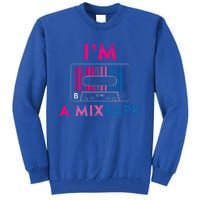 Bisexual Pride Flag Mixtape Women Gay Lesbian Lgbt Tall Sweatshirt