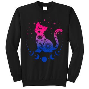 Bisexual pride flag colors astronomy cat Sweatshirt