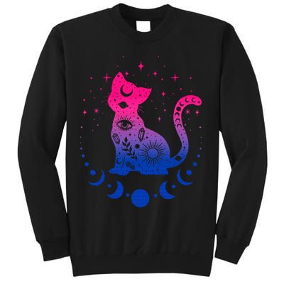 Bisexual pride flag colors astronomy cat Sweatshirt