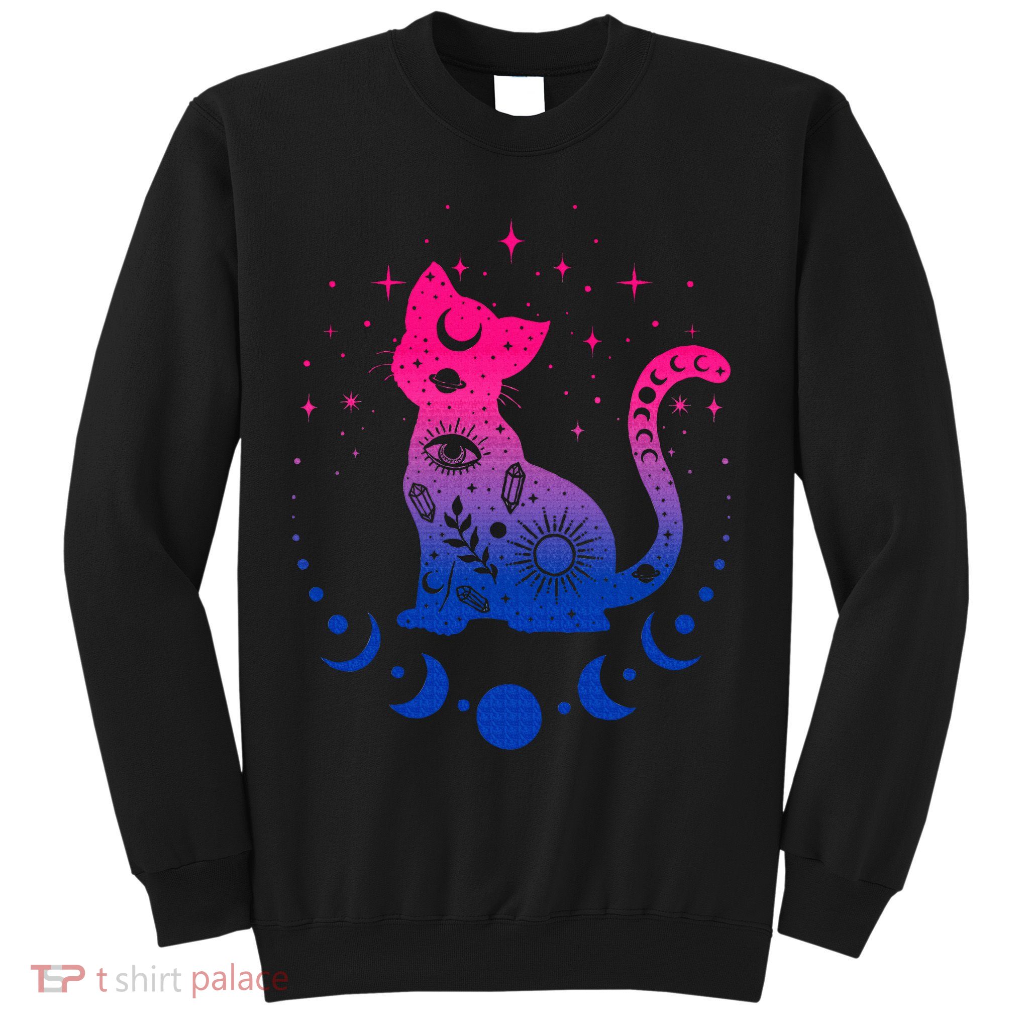 Bisexual pride flag colors astronomy cat Sweatshirt