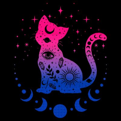 Bisexual pride flag colors astronomy cat T-Shirt