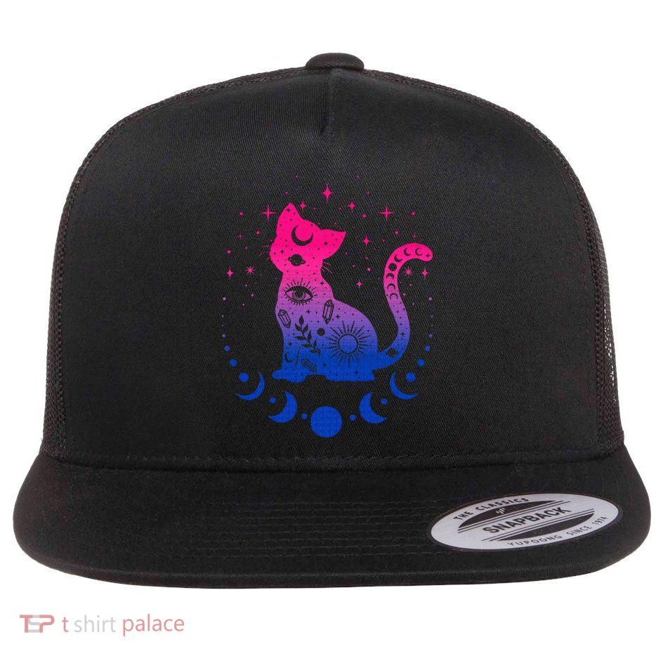 Bisexual pride flag colors astronomy cat Flatbill Hat