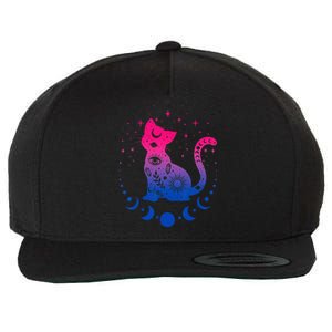 Bisexual Pride Flag Colors Astronomy Cat Wool Snapback Cap