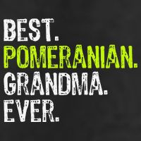 Best Pomeranian Grandma Ever Dog Lover 7 Panel Mesh Trucker Snapback Hat