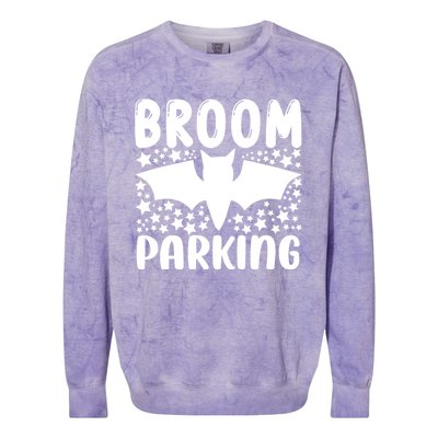 Broom Parking Gift Colorblast Crewneck Sweatshirt