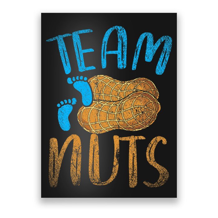 Baby Party Gender Reveal Party Team Nuts Funny Gender Reveal Poster