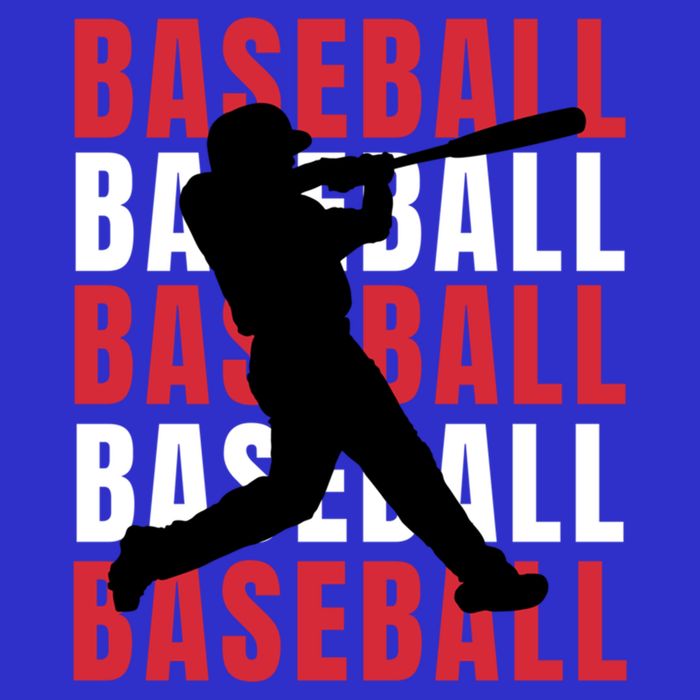 Baseball Player Gift 16 in Basic Backpack