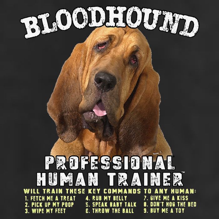 Bloodhound Professional Human Trainer Cute Dog Beanie