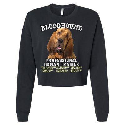Bloodhound Professional Human Trainer Cute Dog Cropped Pullover Crew