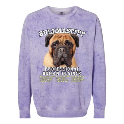 Bullmastiff Professional Human Trainer Cute Dog Colorblast Crewneck Sweatshirt