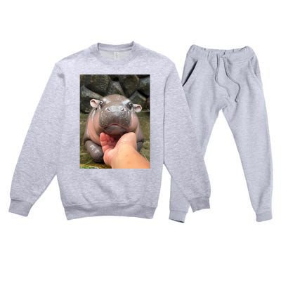 Baby Pygmy Hippo Moo Deng Premium Crewneck Sweatsuit Set