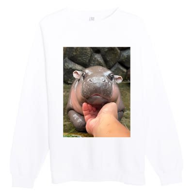 Baby Pygmy Hippo Moo Deng Premium Crewneck Sweatshirt