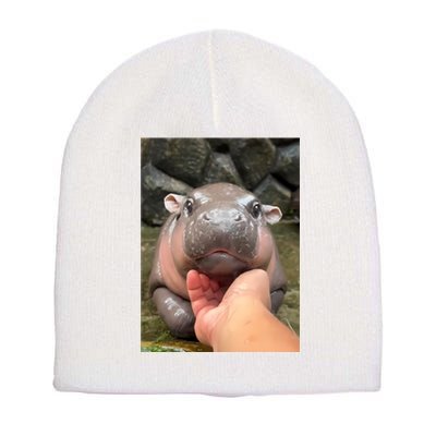 Baby Pygmy Hippo Moo Deng Short Acrylic Beanie