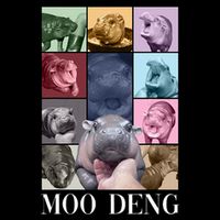 Baby Pygmy Hippo Moo Deng Era 16 in Basic Backpack