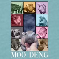 Baby Pygmy Hippo Moo Deng Era Sueded Cloud Jersey T-Shirt