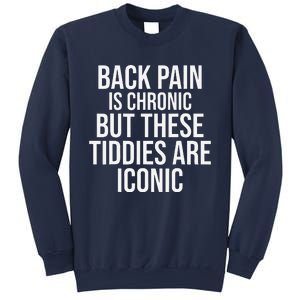 Back Pain Is Chronic But These Tiddies Are Iconic Funny Sweatshirt