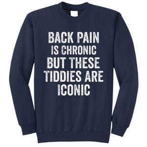 Back Pain Is Chronic But These Tiddies Are Iconic Funny Sweatshirt