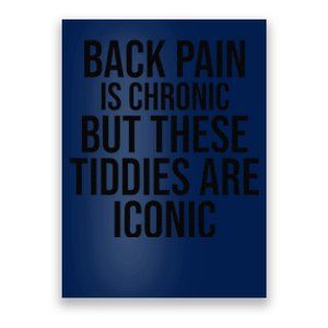 Back Pain Is Chronic But These Tiddies Are Iconic Funny Poster