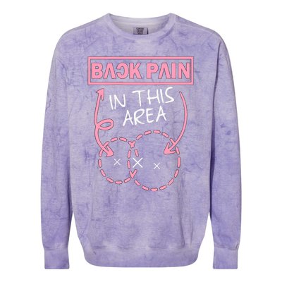 Back Pain In This Area Funny Colorblast Crewneck Sweatshirt