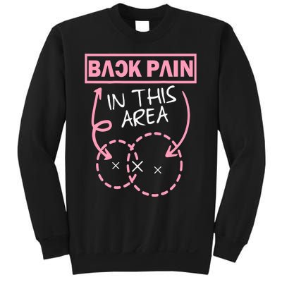 Back Pain In This Area Funny Sweatshirt