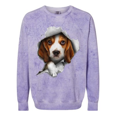 Beagle Puppy Lover Beagle Tee Beagle dog Colorblast Crewneck Sweatshirt