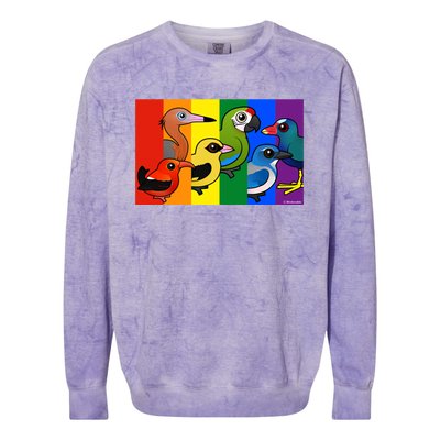 Birdorable Pride Lgbtq Rainbow Colorful Cartoon Cute Birds Gift Colorblast Crewneck Sweatshirt