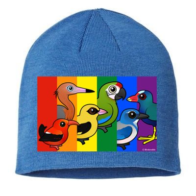 Birdorable Pride Lgbtq Rainbow Colorful Cartoon Cute Birds Gift Sustainable Beanie