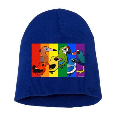 Birdorable Pride Lgbtq Rainbow Colorful Cartoon Cute Birds Gift Short Acrylic Beanie