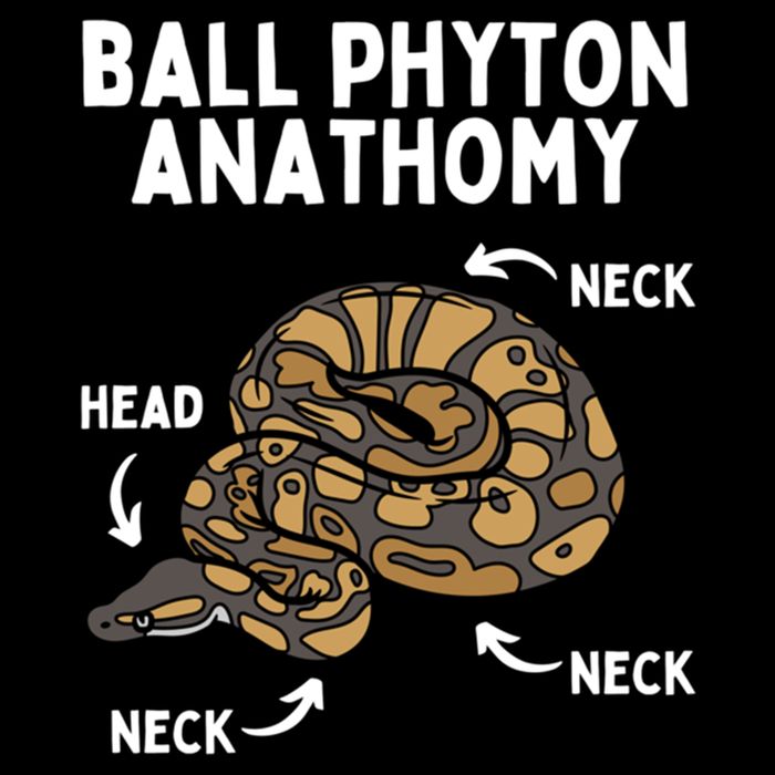 Ball Python Meaningful Gift Snake Reptile Herpetology Ball Python Cool Gift Drawstring Bag