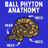 Ball Python Meaningful Gift Snake Reptile Herpetology Ball Python Cool Gift Tall T-Shirt
