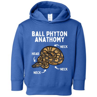 Ball Python Meaningful Gift Snake Reptile Herpetology Ball Python Cool Gift Toddler Hoodie